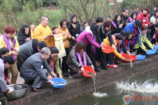 图片7(1).jpg