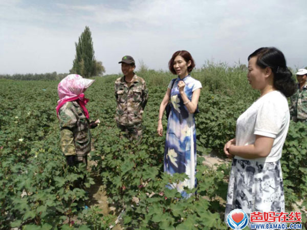 图片4.jpg