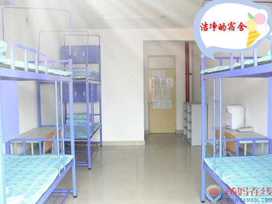 爸妈在线第五届心博会实时播报(四)——心博会组委会工作团队实地考察