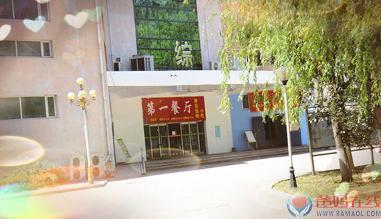 爸妈在线第五届心博会实时播报(四)——心博会组委会工作团队实地考察