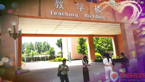 爸妈在线第五届心博会实时播报(四)——心博会组委会工作团队实地考察