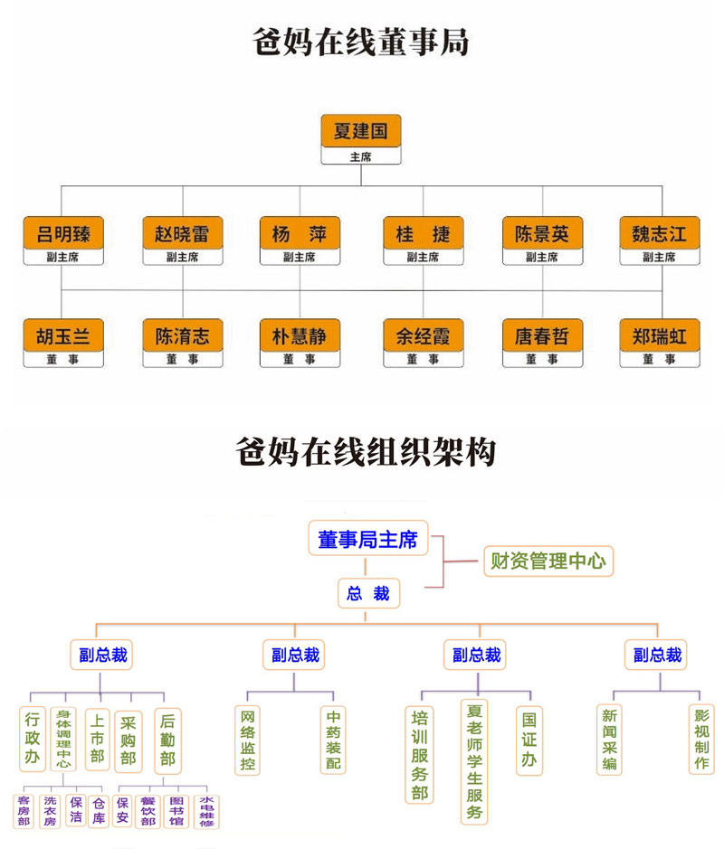 组织架构